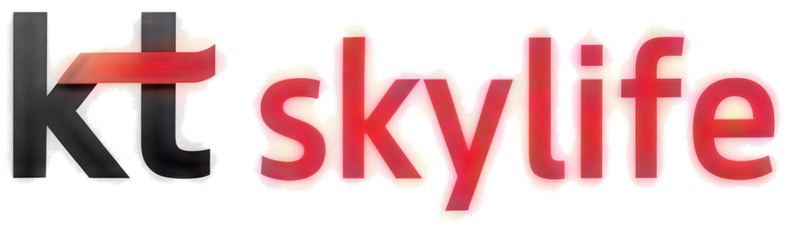 SkyLife